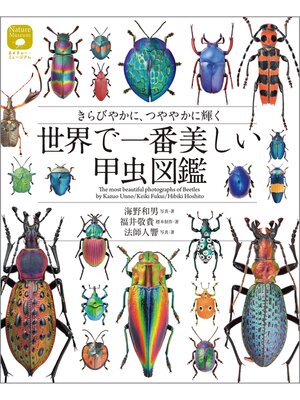 cover image of 世界で一番美しい甲虫図鑑：きらびやかに、つややかに輝く